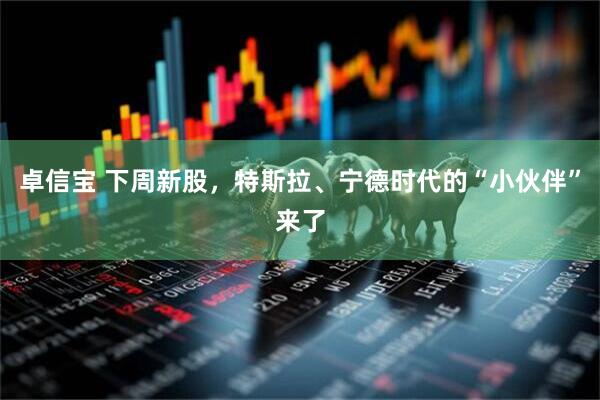 卓信宝 下周新股，特斯拉、宁德时代的“小伙伴”来了