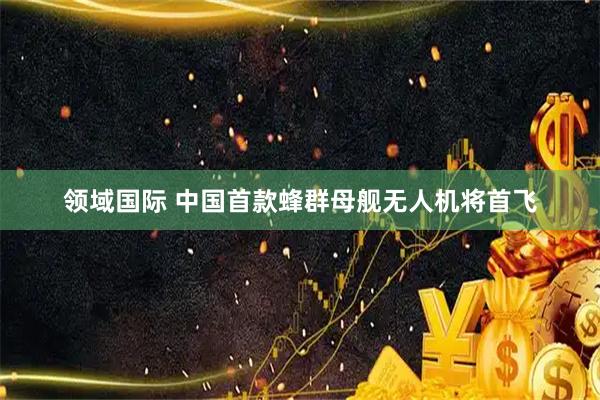 领域国际 中国首款蜂群母舰无人机将首飞