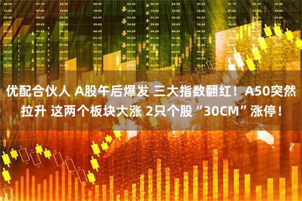 优配合伙人 A股午后爆发 三大指数翻红！A50突然拉升 这两个板块大涨 2只个股“30CM”涨停！