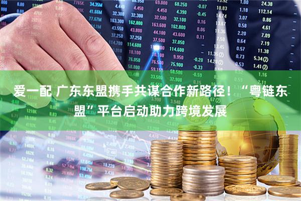 爱一配 广东东盟携手共谋合作新路径！“粤链东盟”平台启动助力跨境发展