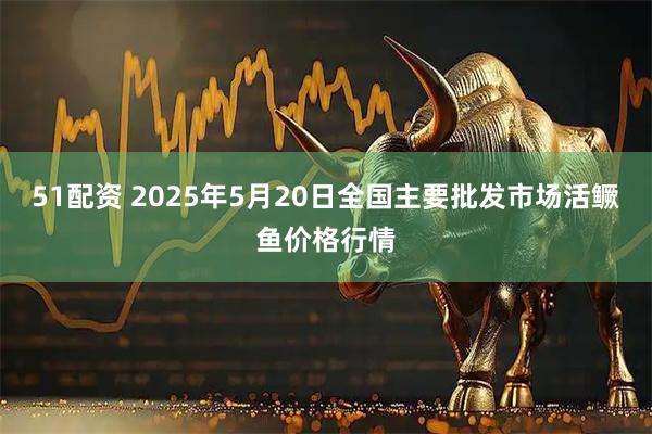 51配资 2025年5月20日全国主要批发市场活鳜鱼价格行情