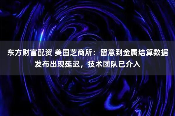 东方财富配资 美国芝商所：留意到金属结算数据发布出现延迟，技术团队已介入