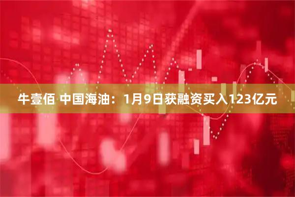 牛壹佰 中国海油：1月9日获融资买入123亿元